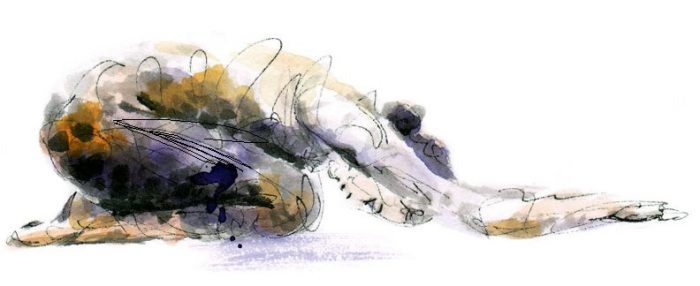 Yoga for trauma